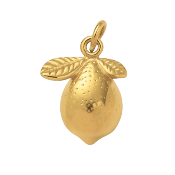 Gold / Charm only