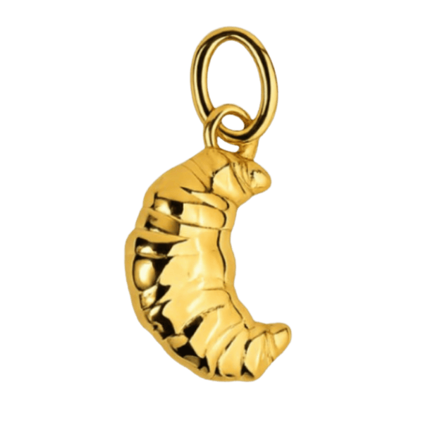Gold / Charm only