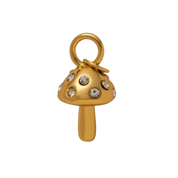 Charm only