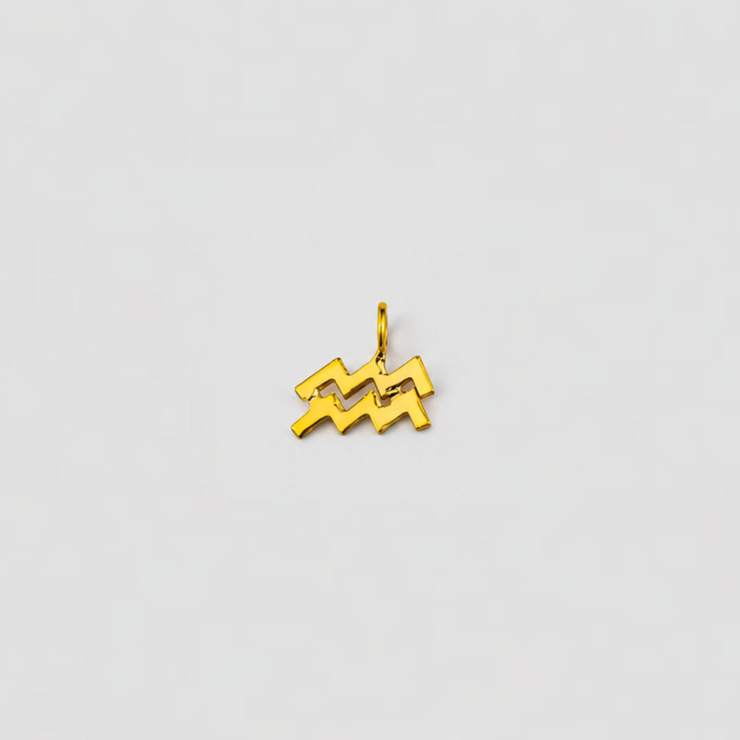 aquarius charm