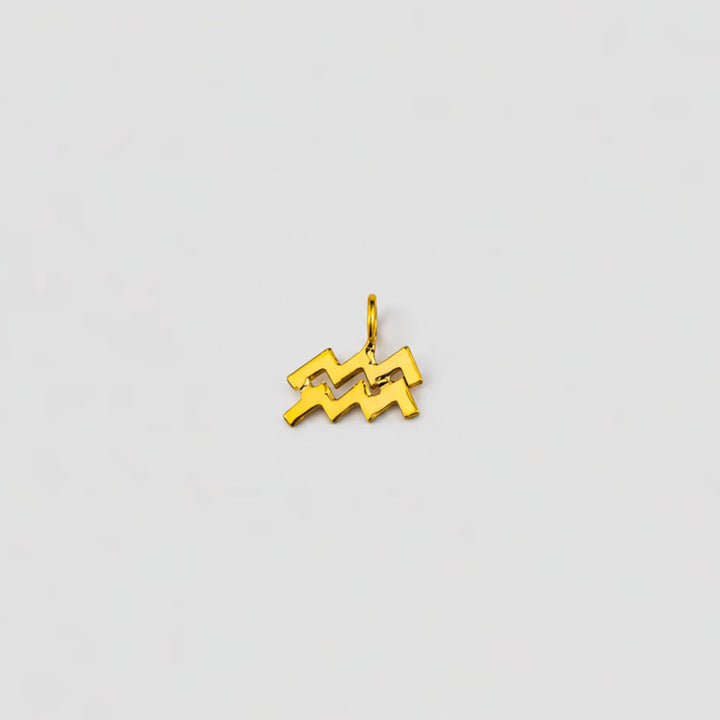 aquarius charm