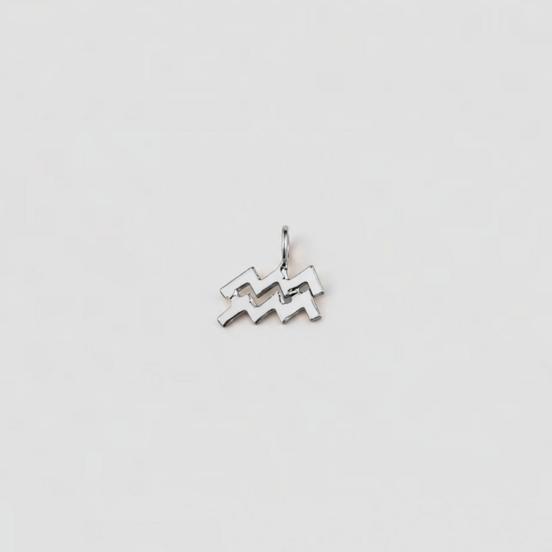 Silver zodiac pendant on a light gray background