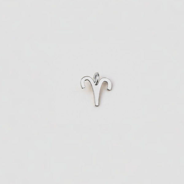 Silver Aries zodiac sign pendant on a light gray background