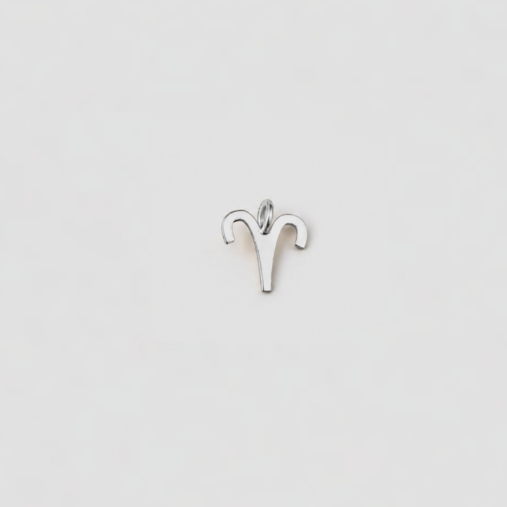 Silver Aries zodiac sign pendant on a light gray background