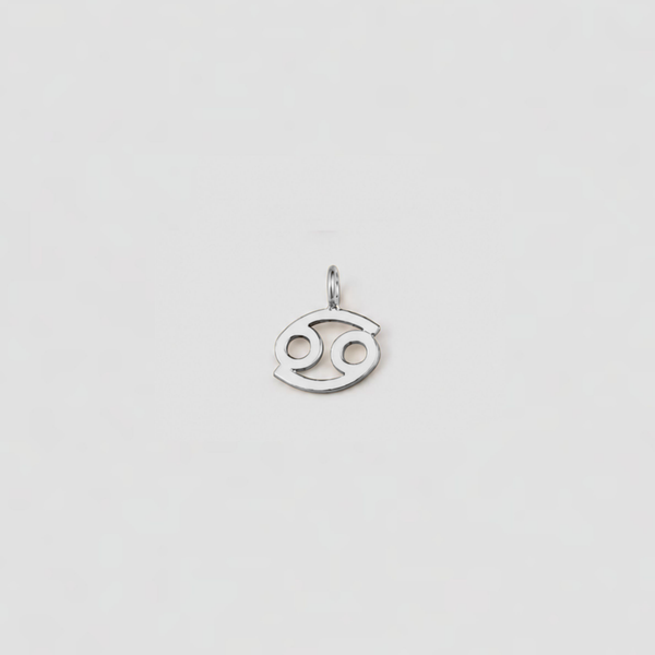 Silver Cancer zodiac sign pendant on a light gray background