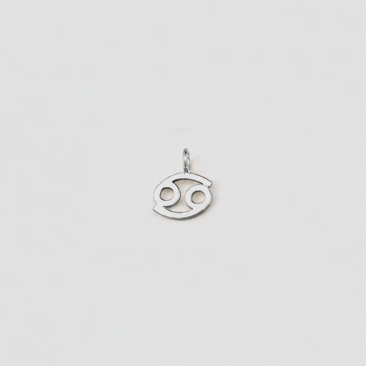 Silver Cancer zodiac sign pendant on a light gray background