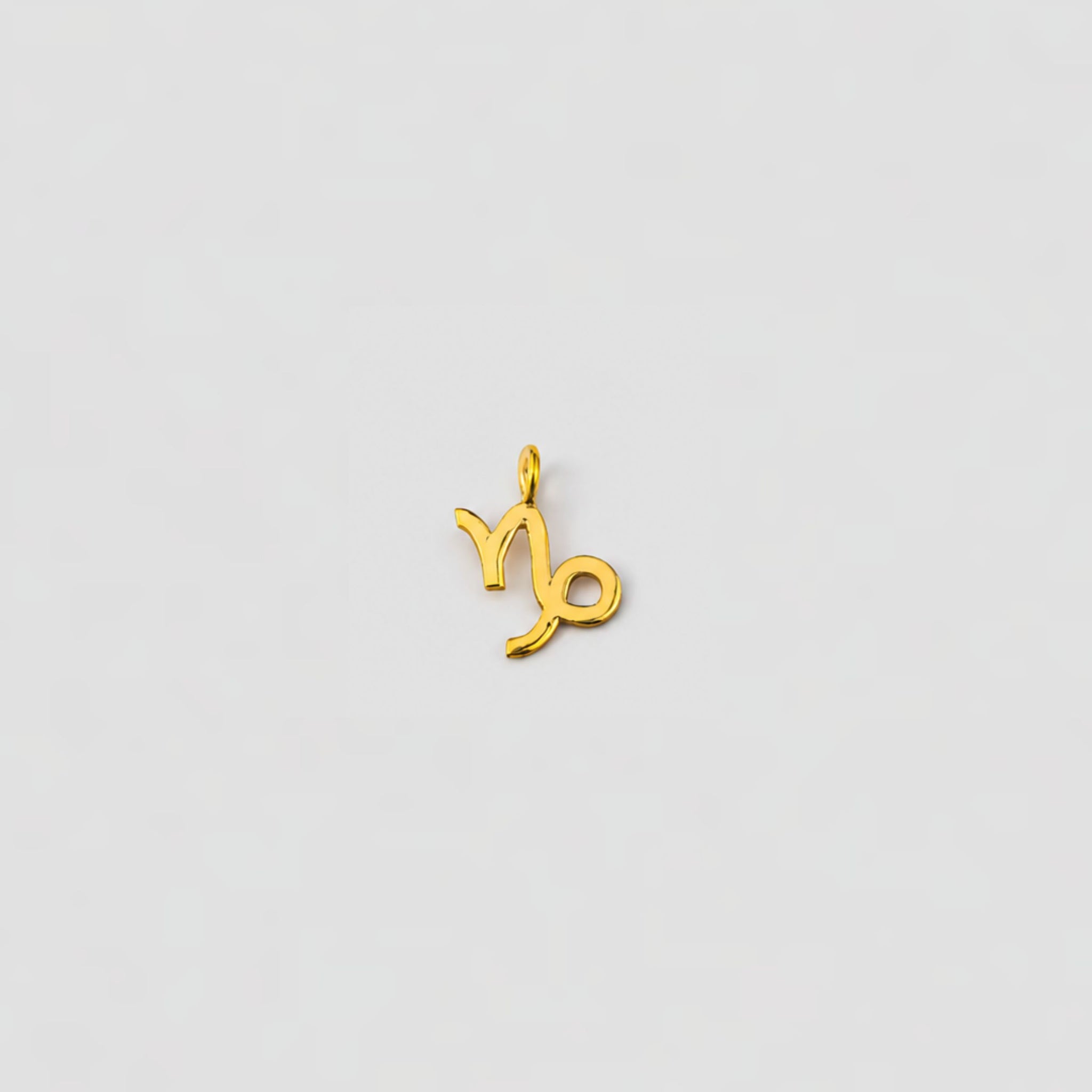 capricorn gold charm