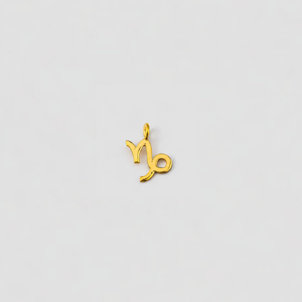 capricorn gold charm
