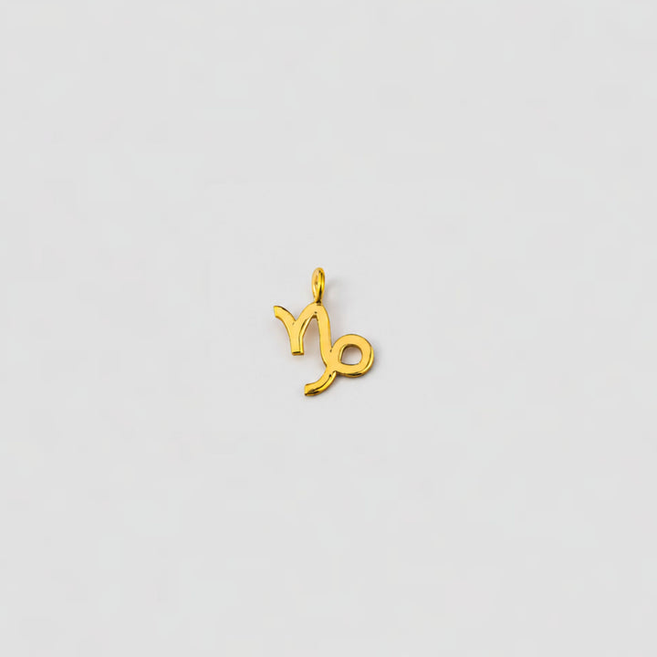 capricorn gold charm