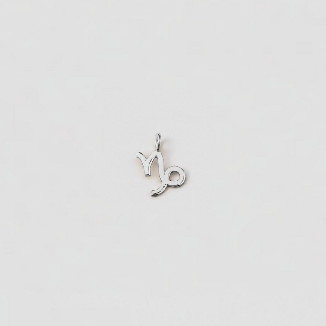 Silver Aries zodiac sign pendant on a light gray background