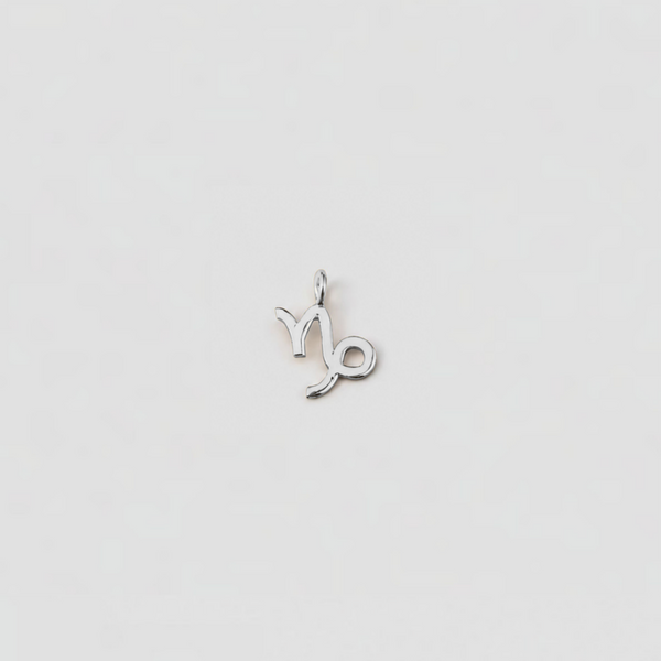 Silver Aries zodiac sign pendant on a light gray background