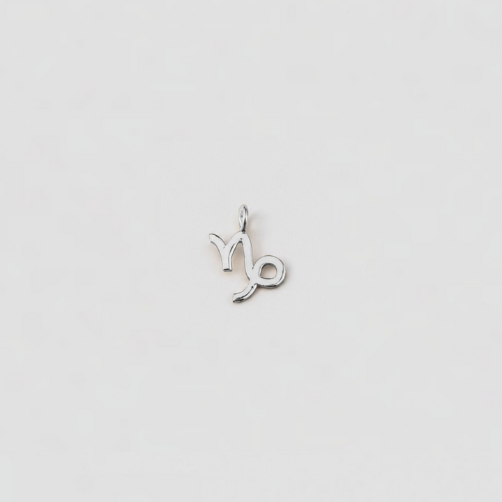 Silver Aries zodiac sign pendant on a light gray background