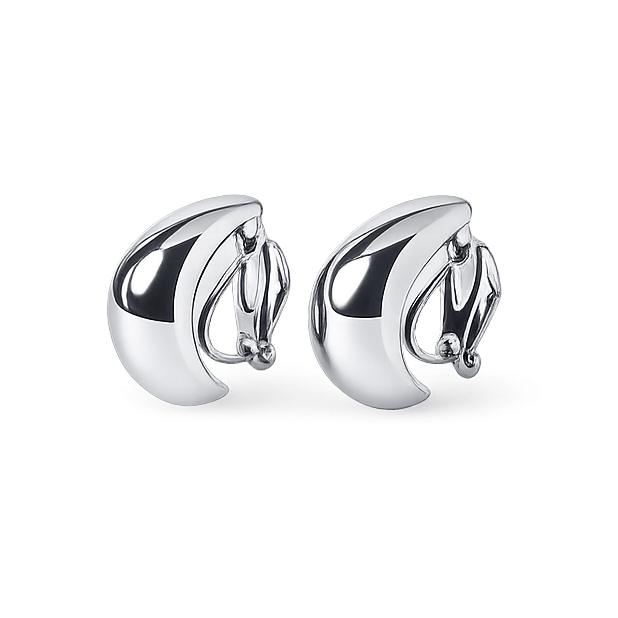 Pair of silver earrings on a white background