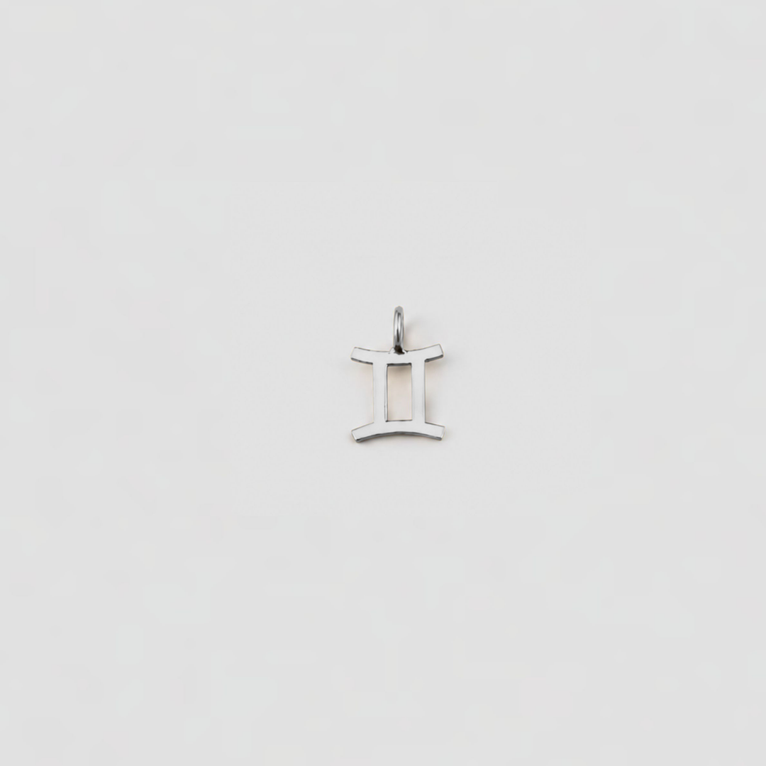 Silver zodiac pendant on a white background