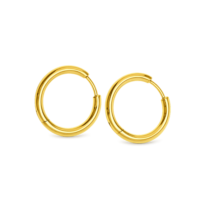 Pair of gold hoop earrings on a white background