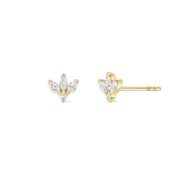 Créoles lotus