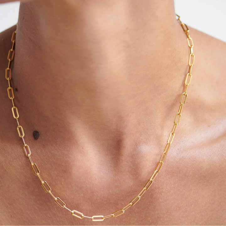 Paperclip Necklace