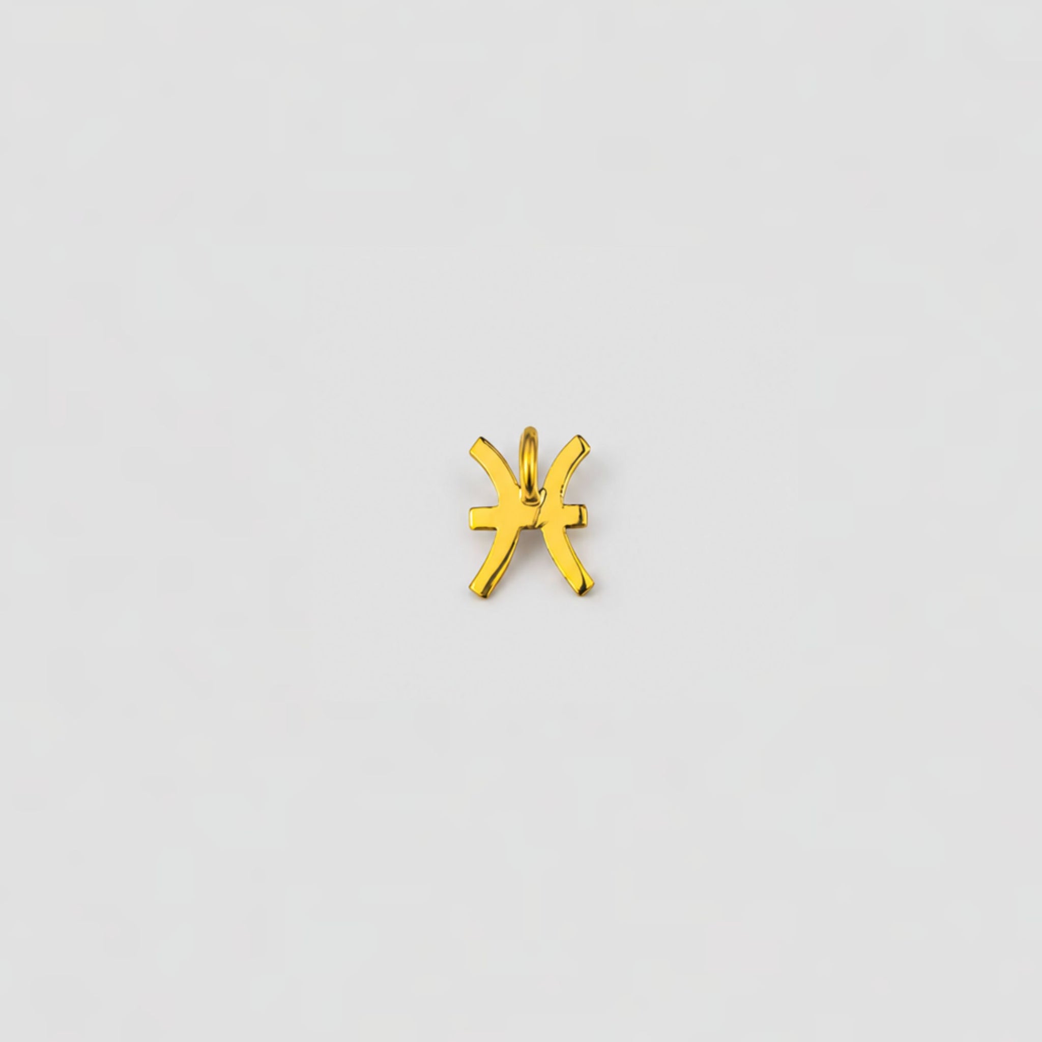 pisces charms
