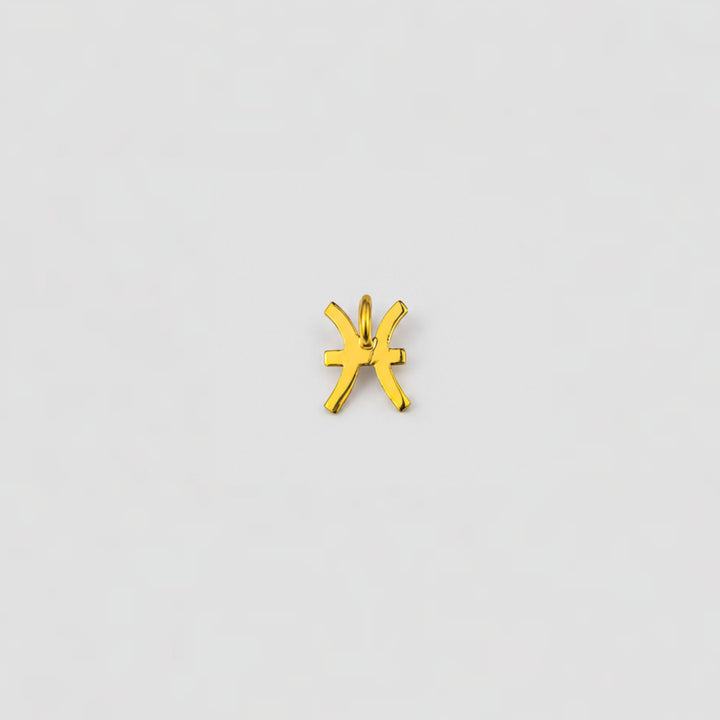 pisces charms
