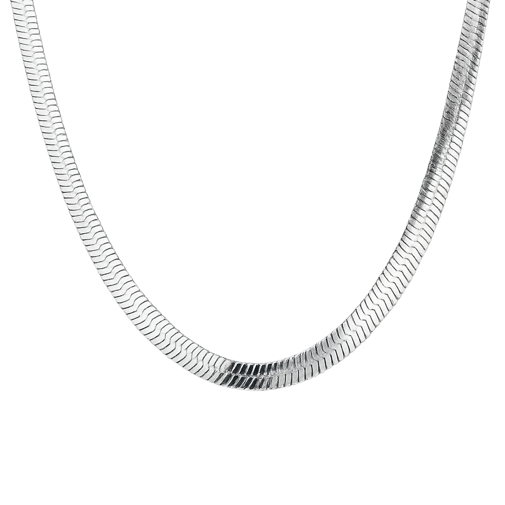 Silver chain necklace on a white background