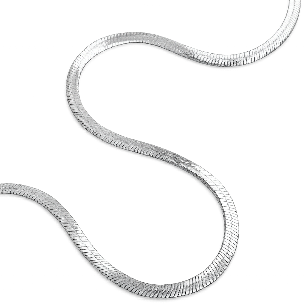 Silver snake chain necklace on a white background