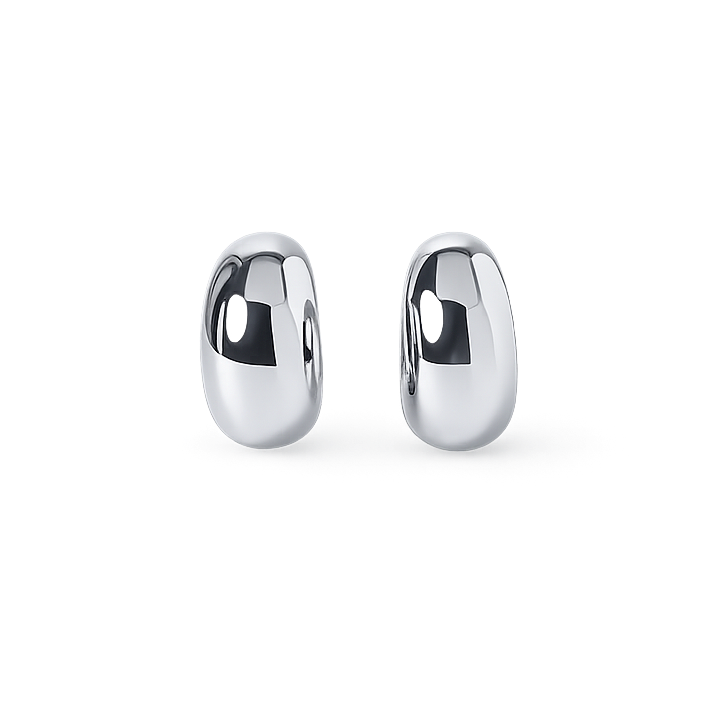 Pair of silver earrings on a white background