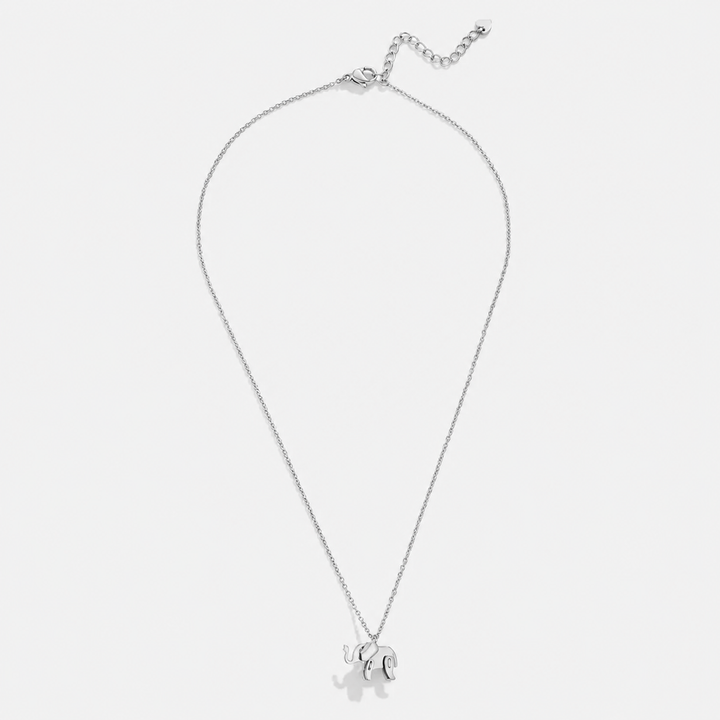 Silver necklace with a heart pendant on a light gray background