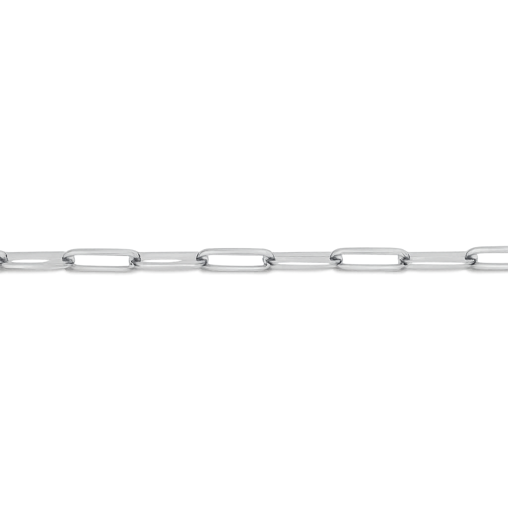 Silver chain on a white background