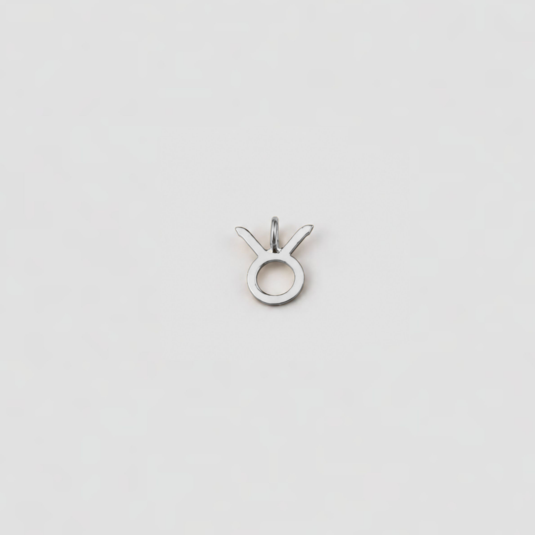 Silver pendant with a unique design on a light gray background