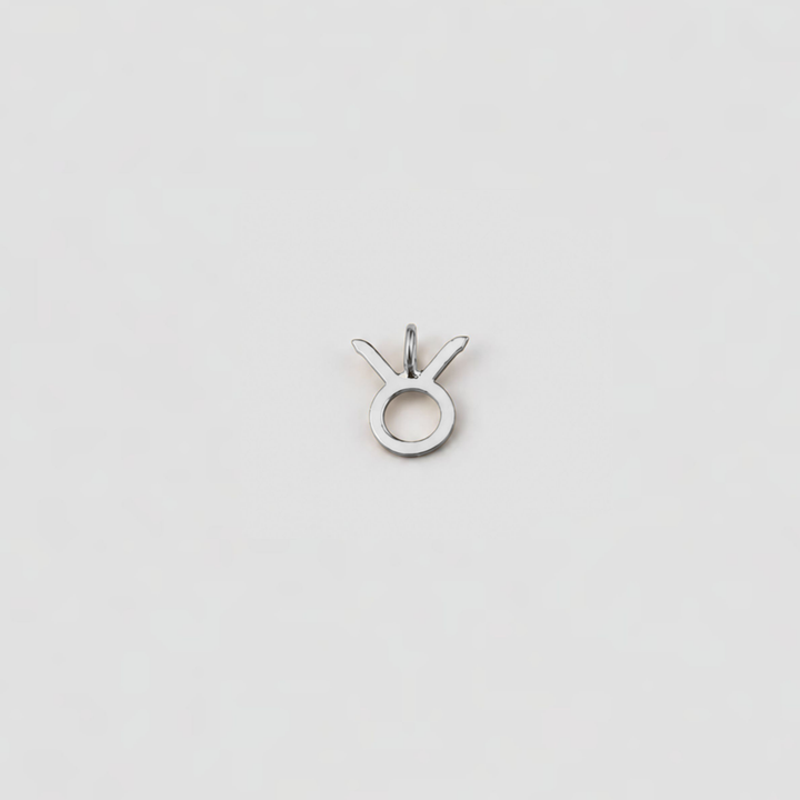 Silver pendant with a unique design on a light gray background